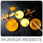 Trip Niederlande - zeigt Ayurvedische Hotel Reisen mit verschiedenen Behandlungsmethoden im Überblick. Die schönsten Länder für Ayurveda Kuren
